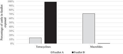 Calculation of Antimicrobial Use Indicators in Beef Feedlots—Effects of Choice of Metric and Standardized Values